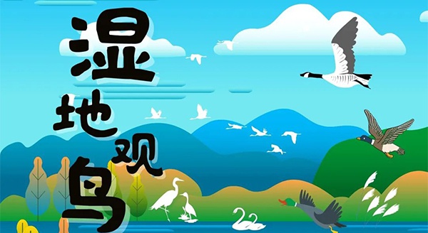 【獨(dú)立觀鳥一日營(yíng)】走進(jìn)白馬湖濕地，一起來(lái)探尋鳥兒的秘密